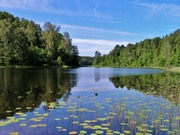 два прекрасных участка на браславских озерах 15 и 30 соток 